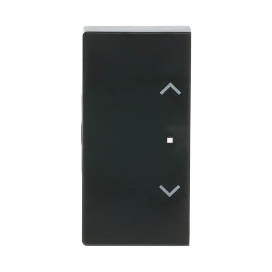 Busch-Jaeger Wippe 2-f li Symb Jalousie anthrazit 6232-20-81