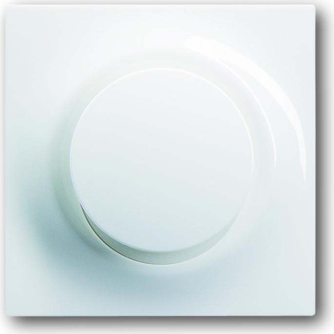 Busch-Jaeger Bedienelement ws f.Mem.-Taststeuerge. 6543-74-101