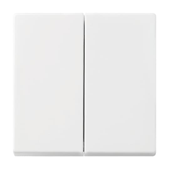 Busch-Jaeger Wippe aws Busch-balance SI 2505-914