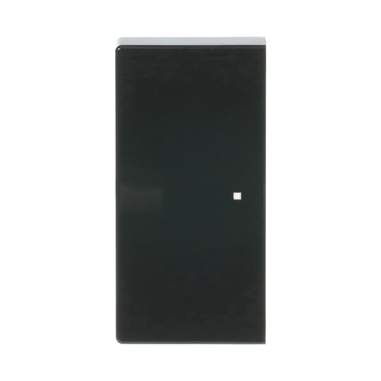 Busch-Jaeger Wippe 2-fach anthrazit 6230-20-81