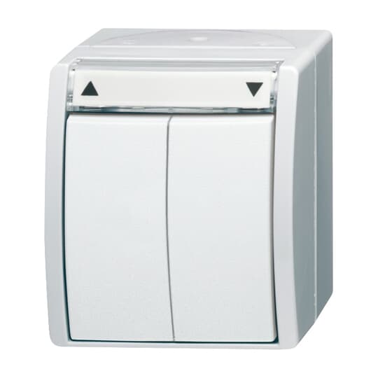 Busch-Jaeger Jalousietaster 2621/4 W-54