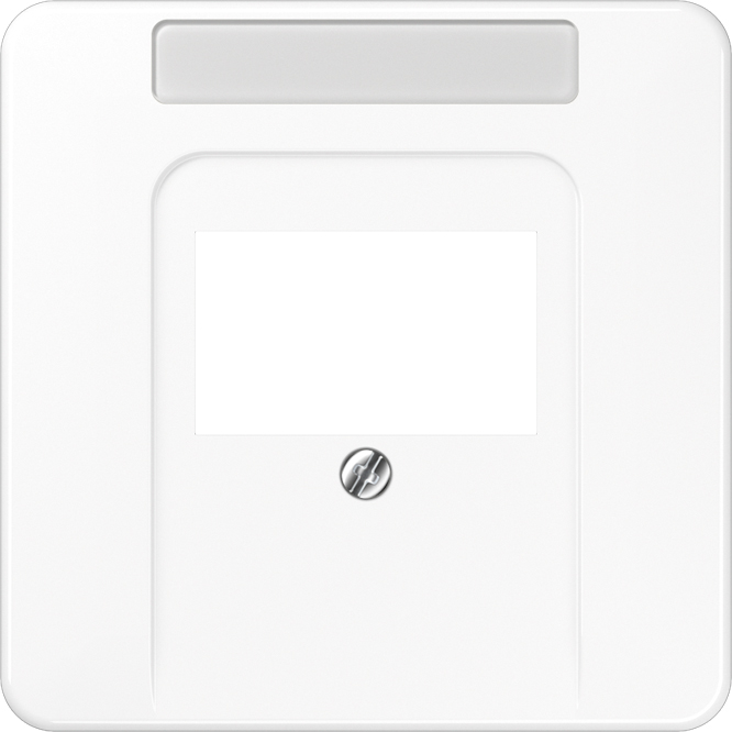 Jung Abdeckung Schriftfeld aws für TAE-Dose CD 569 TNA WW Jung Abdeckung Schriftfeld aws für TAE-Dose CD 569 TNA WW