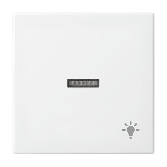 Busch-Jaeger Wippe mit Aufdruck alpinweiß 1789 LI-914