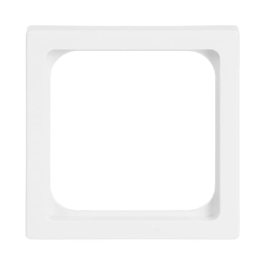 Busch-Jaeger Zentralscheibe dav 50x50,f.TAE-Einsatz 1746/10-84
