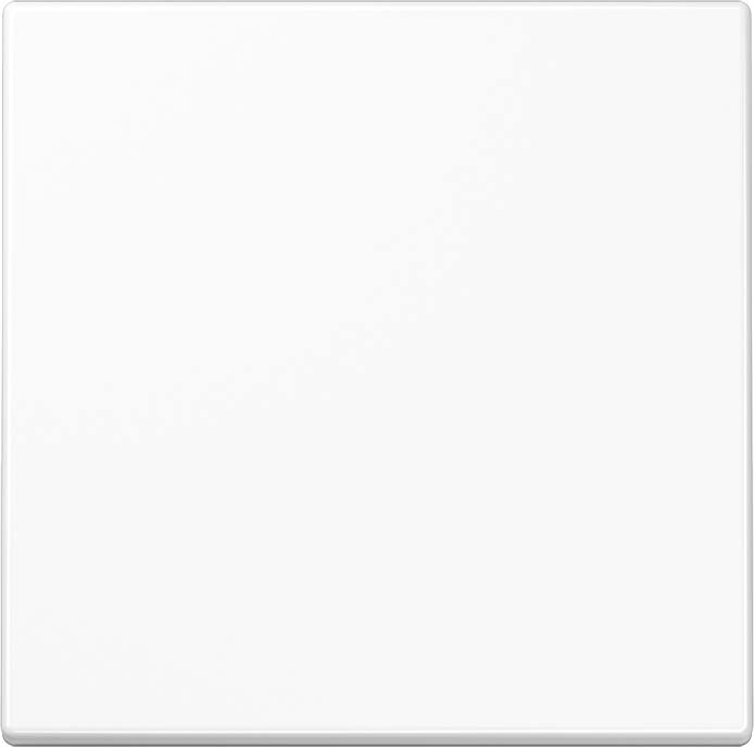Jung Wippe aws für Taster LS 990 WW
