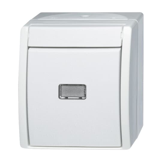 Busch-Jaeger Wechselschalter 2601/6 WGL-54