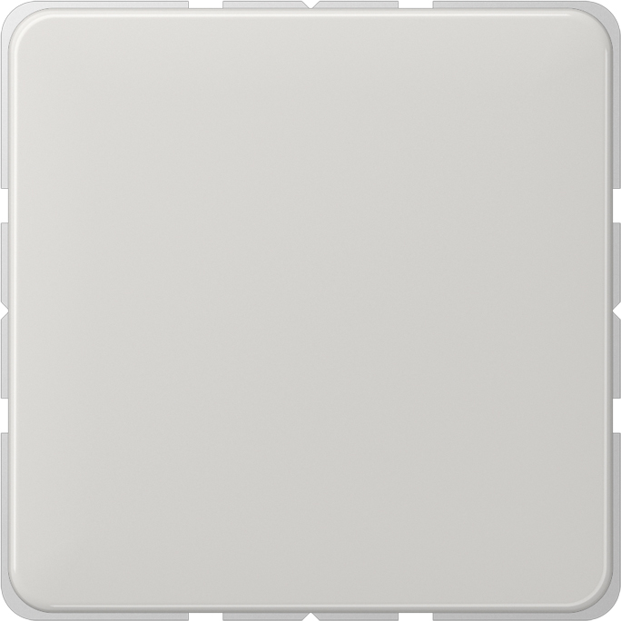 Jung Blind-Abdeckung lgr kompl.mit Tragring CD 594-0 LG