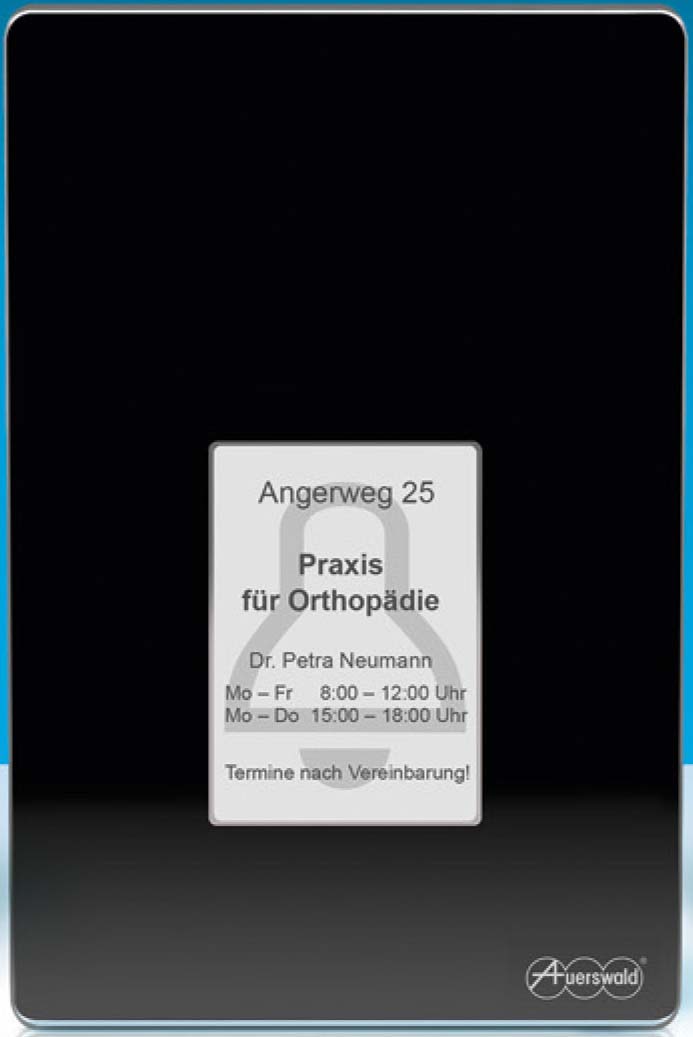 Auerswald Türfreisprechsystem schwarz TFS-Dialog 400 sw