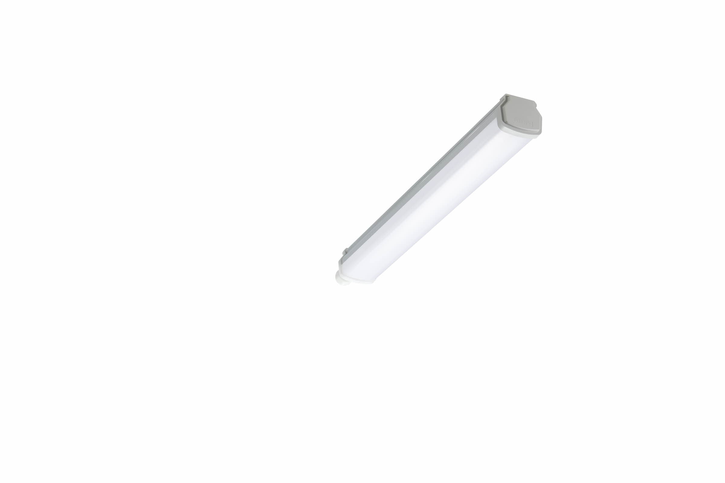Signify PLS LED-Feuchtraumleuchte 4000K WT060C LED #36007299